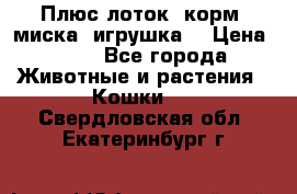 Плюс лоток, корм, миска, игрушка. › Цена ­ 50 - Все города Животные и растения » Кошки   . Свердловская обл.,Екатеринбург г.